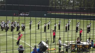 祭りの会場にもなります