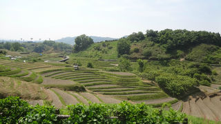 下赤阪の棚田