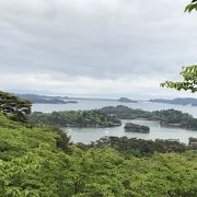 高台から見る松島