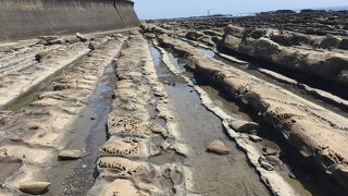 南国の景色と海岸に広がる鬼の洗濯板の絶景が楽しめます