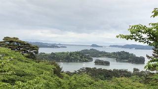 高台から見る松島