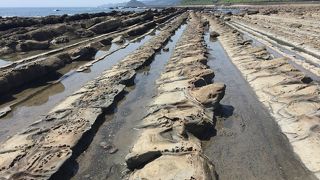 鬼の洗濯板は日南海岸の結構広範囲に亘る