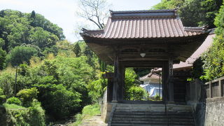 経蔵は修理中です