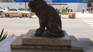 猫サイズで迫力がありませんが