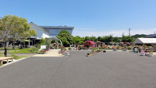 綾部バラ園は今（５月）満開です