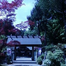 緑が映えます。