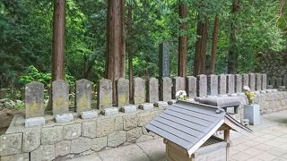 若い子の素直さを感じます