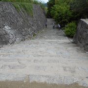 上野城を囲む大きな公園