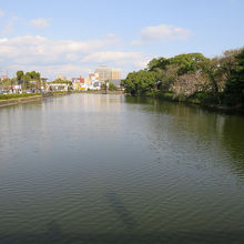 北濠は80メートルほどの幅があるようです