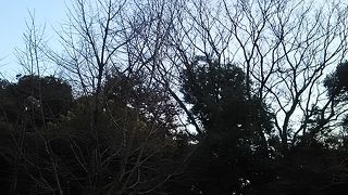 目白の名門大学