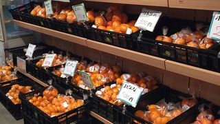 さすが愛媛!!　みかんの値段が破格です!!(種類もたくさん♪)