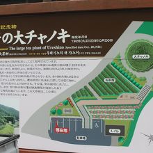 大きな絵入りの案内パネルが目印です。