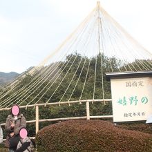 いつまでも元気に長生きしてください！