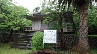 イモリがいっぱいいた