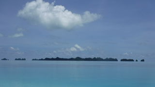 パラオの象徴！