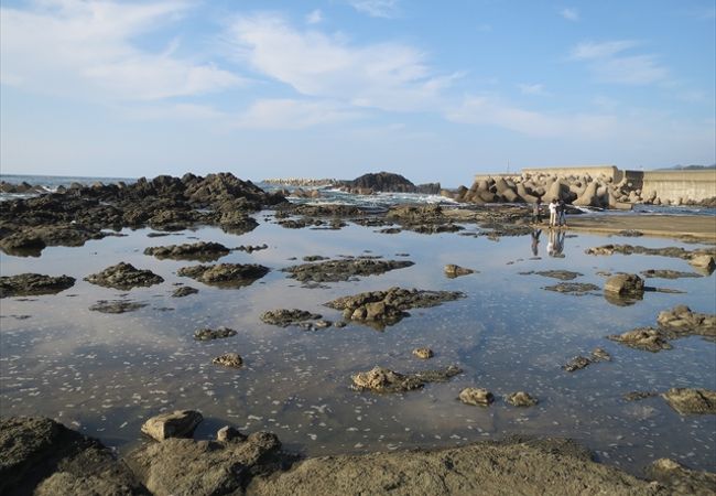 引潮の時には岩場で蟹や小魚を捕ることができました