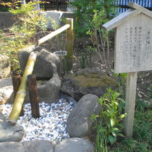 園内の一角には、枯山水的な場所もあり、工夫が凝らされています