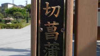 堀切菖蒲園は、京成電鉄堀切菖蒲園駅に近く、荒川沿いにある花菖蒲で有名な名所です。
