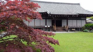 京都山科、勧修寺の庭を見に行きました。