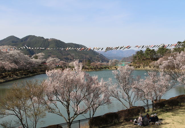 桜の名所でもあります