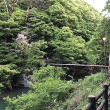 とてもいい雰囲気