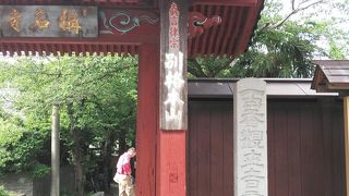 浄土庭園が美しい称名寺