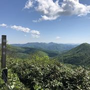 白樺が増えてきて景色が変わります