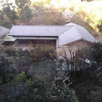 部屋からの眺め