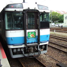 徳島線を走る、特急剣山