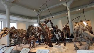 世界中からの収集品。