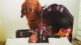 キュービック ホテル アムステルダム WTC