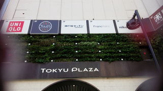 けっこう大きかったです。