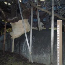 まず花崗岩もでかい！