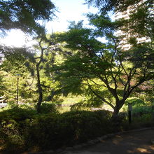 公園