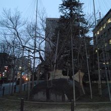 盛岡地方裁判所前庭車寄せ前