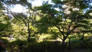 都会の日本庭園