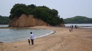 干潮の3時間前後がお薦め