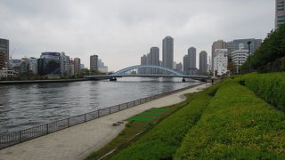 隅田川沿いの遊歩道