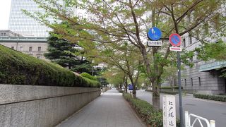 新緑の季節に歩くのも