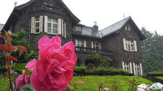 手入れの行き届いたバラ