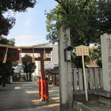 外観は普通です