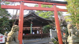 読み方に注意です