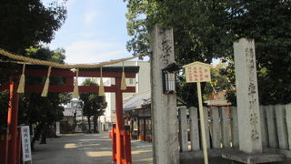 珍しい読み方です