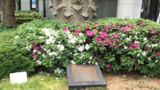 旧三菱銀行三宮支店 柱頭