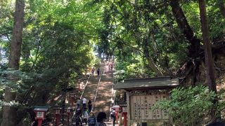 一号路はスニーカーでも大丈夫