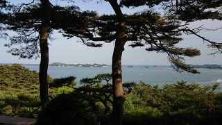 行き交う観光船が見えました