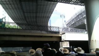 船の上から眺めると首都高下でも意外と明るい川でした