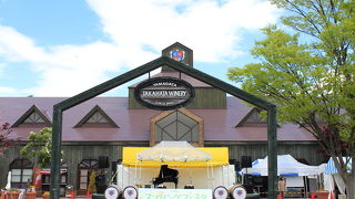 GWはスプリングフェスタ