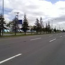 あいの里付近のパープルロード