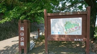 展望台からの景色は最高